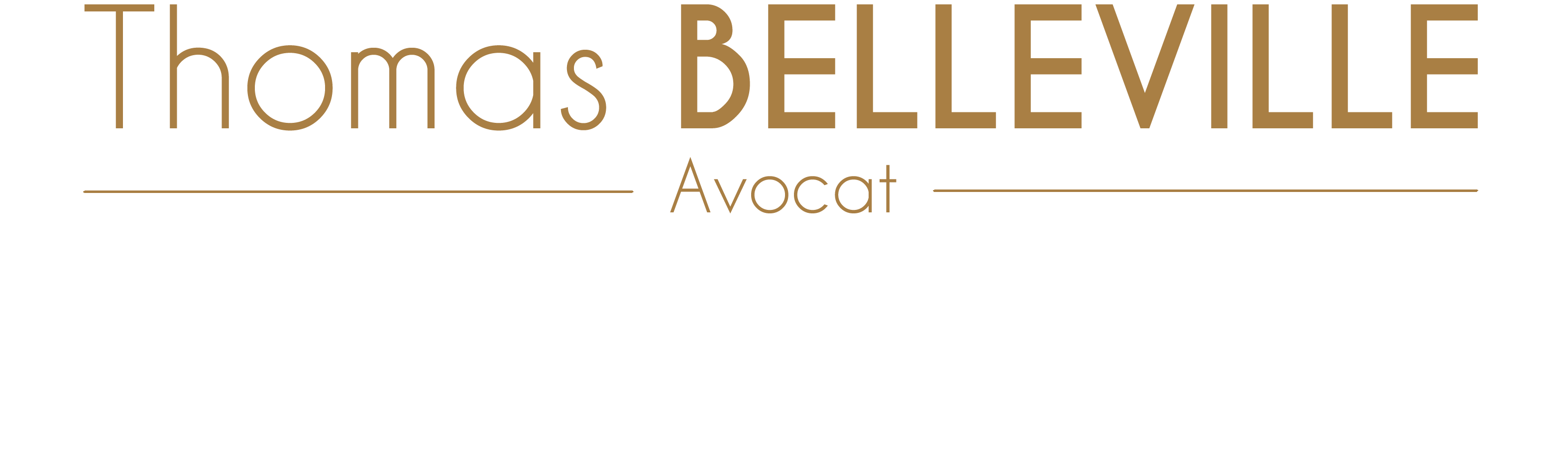 Thomas Belleville - Avocat à Bordeaux - droit immobilier, droit de la construction, droit des assurances, droit des contrats